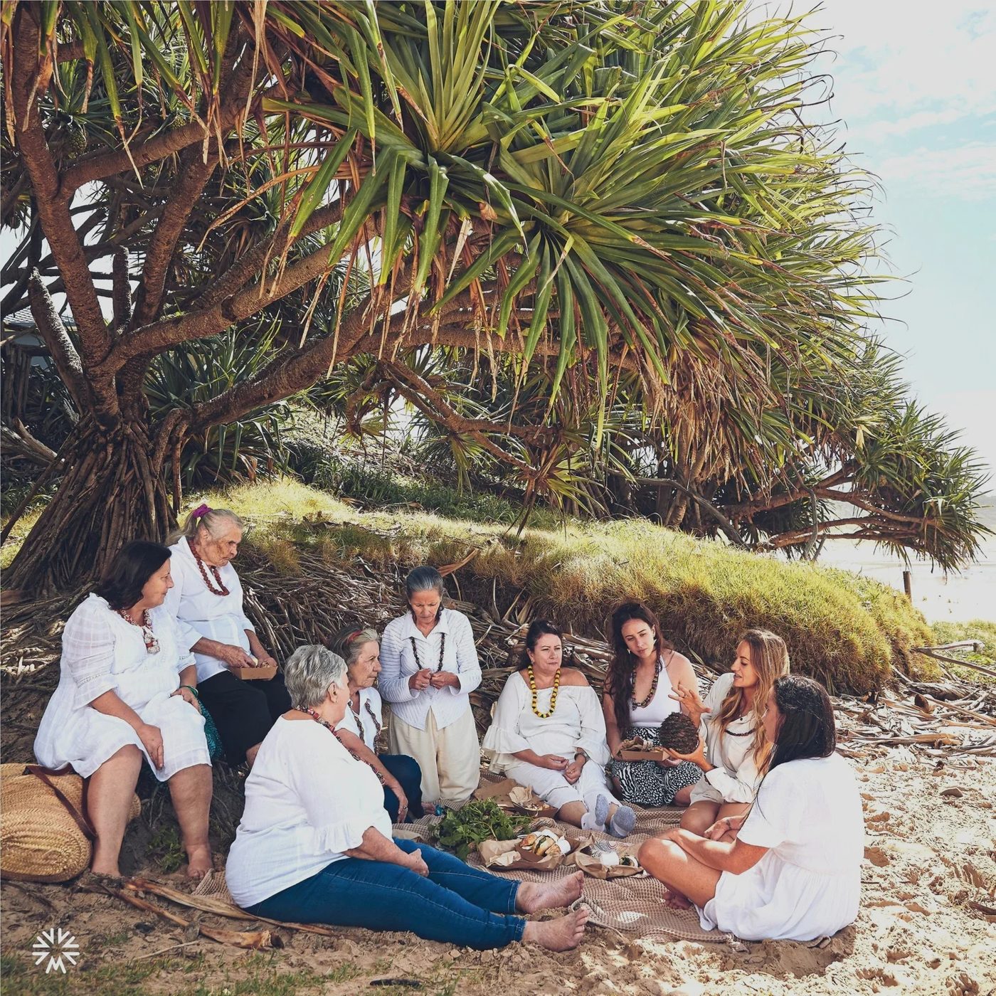 Guests gathered under pandanus trees on Country