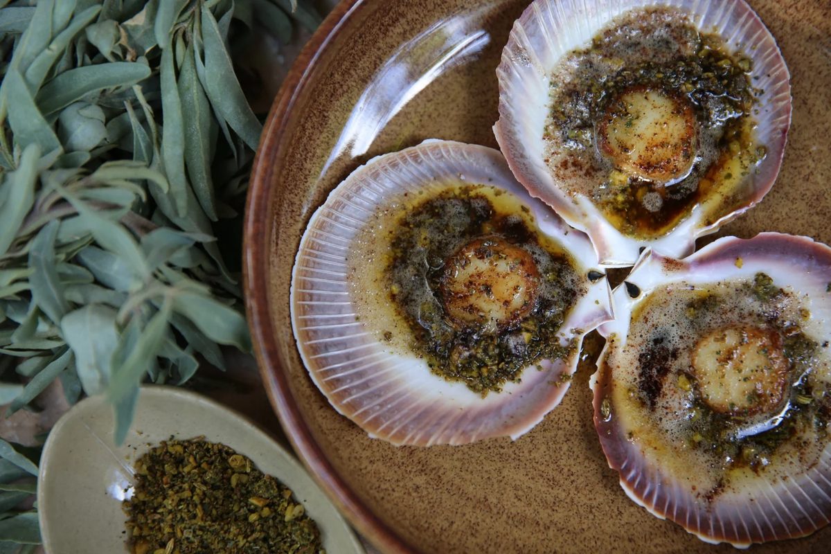 Pan seared scallops in the shell with native dukkah
